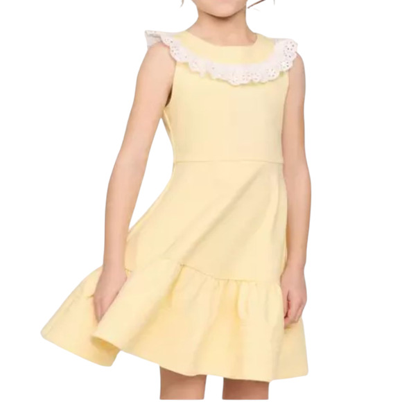 Janie and Jack Yellow Eyelet Ruffle Ponte Dress A-Line - Picture 2 of 8